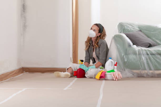 Reliable Attic Mold Remediation contractor in Sykesville, MD by 24 Hour Mold Removal